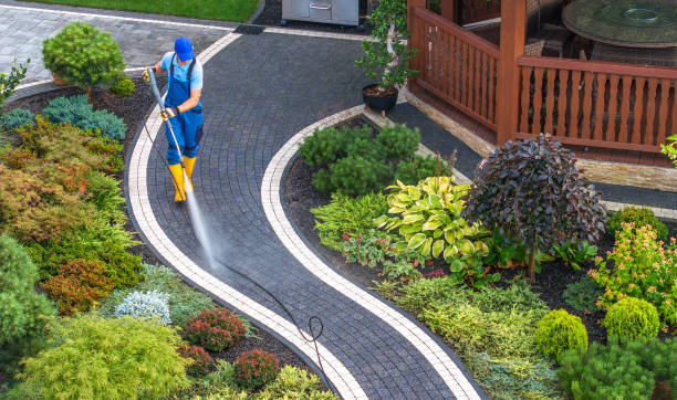 Best Roof Pressure Washing  in Pupukea, HI